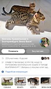 МЫ В СОЦ СЕТЯХ